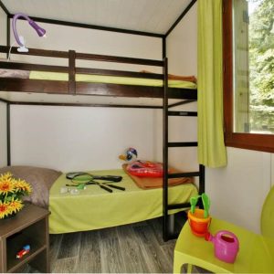 WhatsApp Image 2026-02-11 at 17.19.23