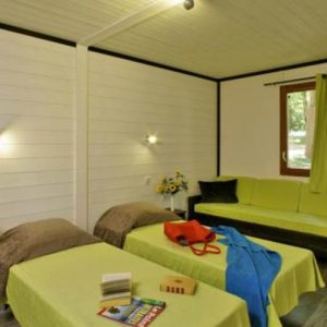 WhatsApp Image 2026-02-12 at 10.30.57 (1)