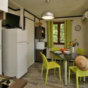 WhatsApp Image 2026-02-12 at 10.30.57