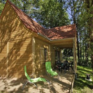 WhatsApp Image 2026-02-12 at 10.30.58